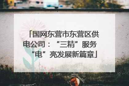 国网东营市东营区供电公司：“三精”服务“电”亮发展新篇章